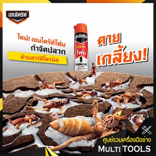 เชนไดร้ท์ (CHAINDRITE) สเปรย์โฟม กำจัดปลวก 250 กรัม