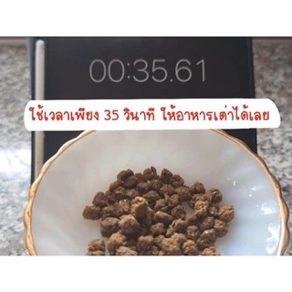 Pro-Complete อาหารเต่าบก 1 กิโลกรัม คุณภาพดี ไม่มีแป้ง พร้อมส่ง มีของแถมทุกออเดอร์ [LT50]