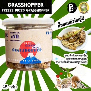 ตั๊กแตนอบกระป๋อง FREEZE DRIED GRASSHOPPER