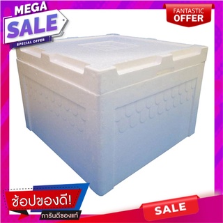 กล่องโฟมใหญ่ 25 กก.Foam Box 25 kg