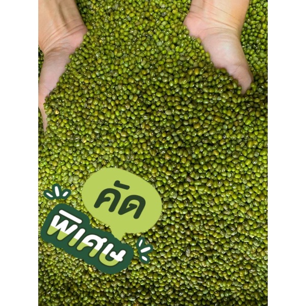 ถั่วเขียวเพาะงอก ปลูกบำรุงดิน เพาะงอก คัดเกรด🅰️ บรรจุ 1กิโลกรัม👍ผิวมัน หวาน กรอบ👍