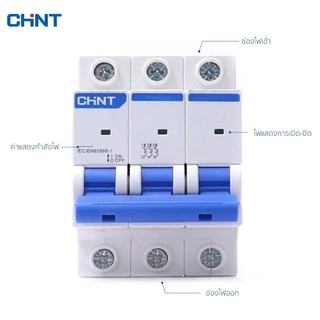 CHINT เบรกเกอร์ 6kA Type D เบรกเกอร์ลูกย่อย เบรคเกอร์กันไฟเกิน ใช้ควบคุมไฟฟ้า 10A-63A รุ่น NXB 220V 6kA