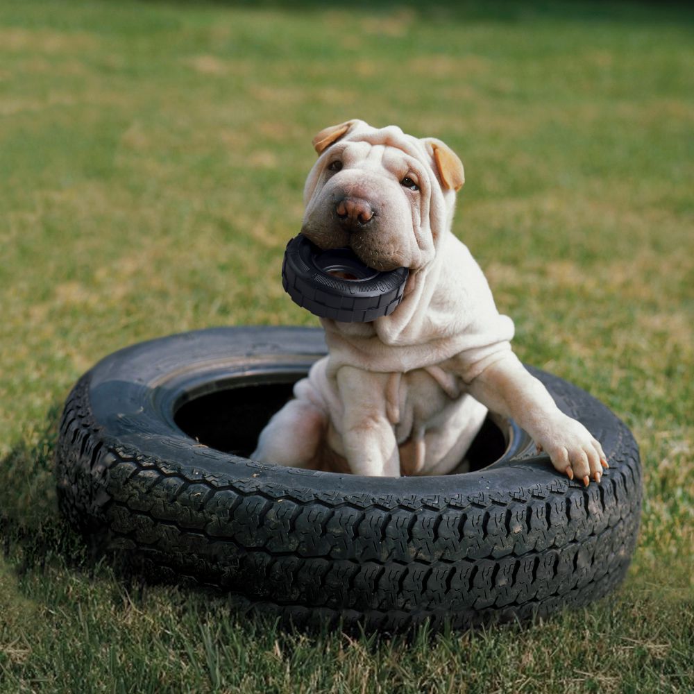 KONG Extreme Tires ของเล่นสุนัขทำจากยางธรรมชาติรูปทรงล้อรถ ไว้กัดเล่น ลับฟัน ฝึกพฤติกรรม ซ่อนขนมไว้ภายในได้ (S M/L)
