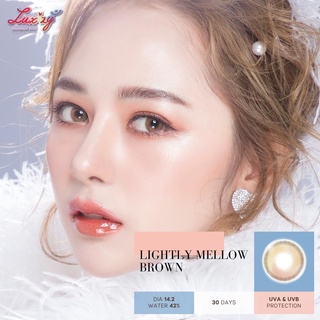 คอนแทคเลนส์🌈Lightly Mellow🌈 Brown/Gray (Luxzylens) ขนาดมินิ💖