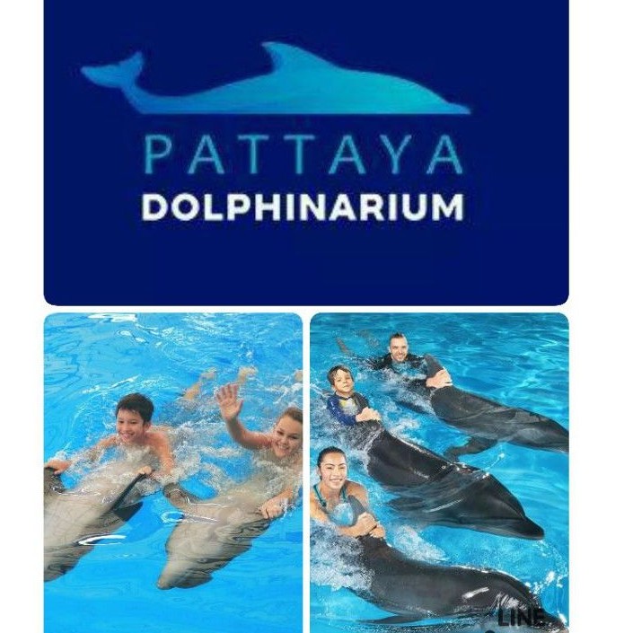 Pattaya Dolphinarium  **บัตรว่ายน้ำกับโลมา**