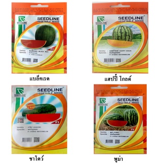 เมล็ดแตงโม (watermelon seeds) แตงโม ต้นแตงโม เมล็ดผักต่างๆ เมล็ดพันธุ์ผัก เมล็ดพันธุ์ไม้ เมล็ดพันธุ์ เมล็ดผัก เมล็ดพันธุ