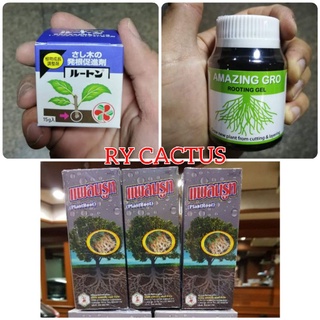 เจลเร่งราก หลายยี่ห้อ roonton / amazing gro / แพลนรูท