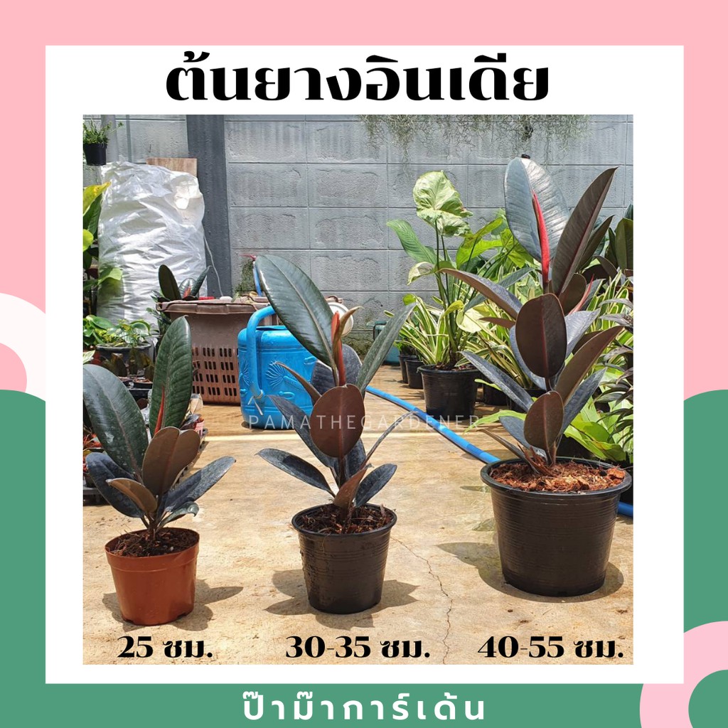 มุมมอง 2