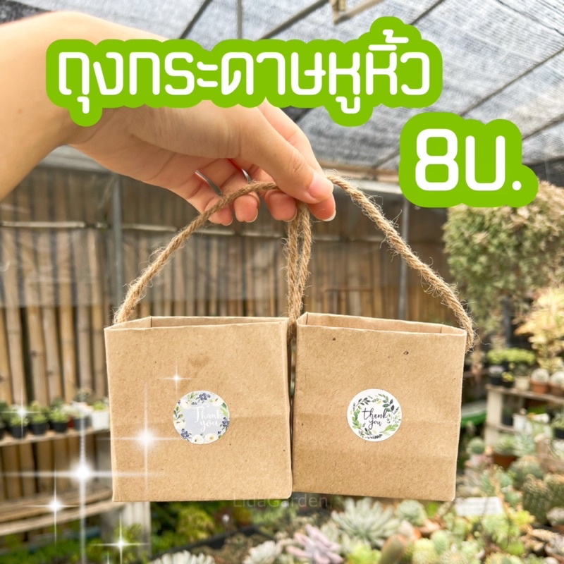 [ถุงกระดาษใส่ของขวัญ] 7บาท ใส่ต้นไม้ ของชำร่วย ของขวัญ ขนาด 2” 2.5” และ 3”