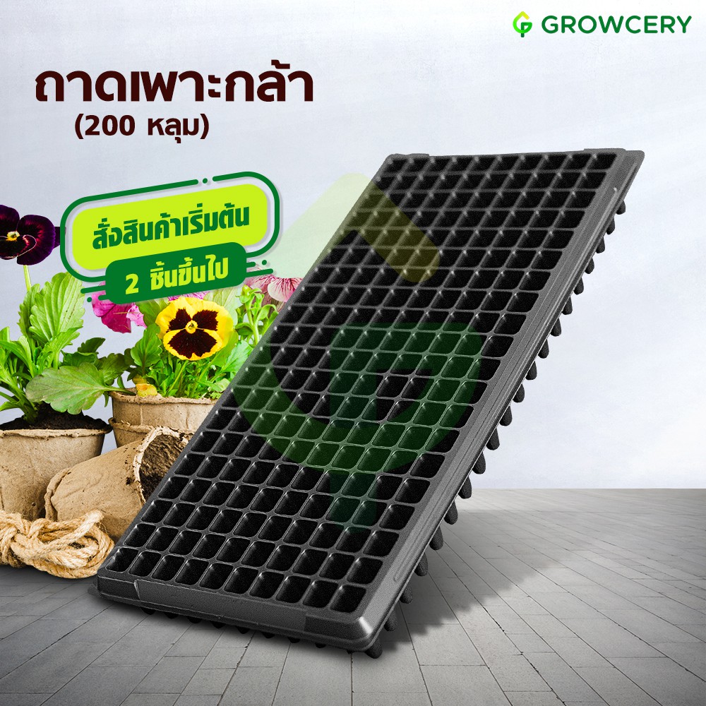 [G] ถาดเพาะกล้า ถาดหลุม ถาดเพาะ จำนวน 200 หลุม (หนา 1 มม.) **สั่งขั้นต่ำ 2 ชิ้น** โดย GROWCERY