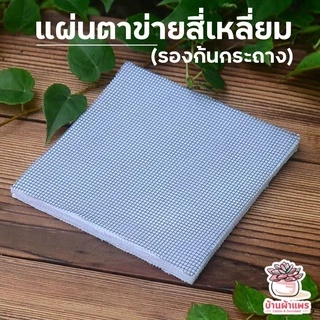 [ 20ชิ้น ] แผ่นตาข่ายสี่เหลี่ยมรองก้นกระถาง ไม้อวบน้ำ กุหลาบหิน cactus&succulentหลากหลายสายพันธุ์