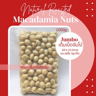 แมคคาเดเมีย อบพร้อมทาน เต็มเม็ดจัมโบ้ O1 ยกลัง (5KG) Macadamia nuts