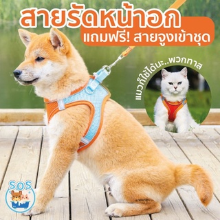 🐶 สายรัดหน้าอก สุนัข แมว 🐶😽แบบญี่ปุ่น แถมฟรี สายจูง มีแถบสะท้อนแสงรอบตัว