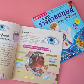 หนังสือร่างกายมนุษย์ แถมฟรี!!! โมเดลร่างกายมนุษย์ 💪 โมเดลอวัยวะ 🦵 ของเล่นแนววิทยาศาสตร์ 🧠 Human Body Model 👀 Anatomy