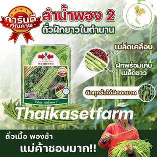 เมล็ดพันธุ์ ถั่วฝักยาว ลำน้ำพอง2 (เมล็ดเคลือบ)500กรัม☘️