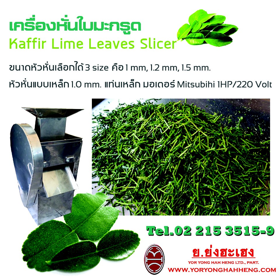 My Image 32