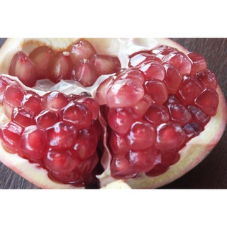 20 เมล็ด เมล็ดทับทิม (Pomegranate) สายพันธุ์ เพชรชมพู  Pomegranate seeds