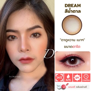 ไม่แถมตลับ Dream Brown (ตาโต) คอนแทคเลนส์ Wink