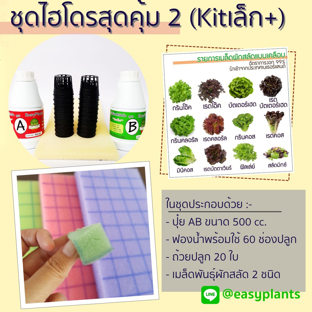 Best saller ชุดปลูกผัก สลัด ไฮโดรโปนิกส์ DIY สุดคุ้ม 2 (Kit เล็ก Plus) เมล็ดฟ้าทะลายโจร เมล็ดแคนตัส เมล็ดผัก เมล็ดพืช กล้วยไม้