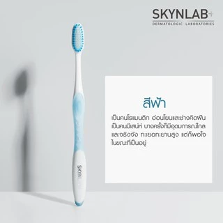 แปรงสีฟัน สกินแล็บ ขนแปรงนุ่ม ครบทุกแบบ SKYNLAB+ Slim Soft Toothbrush