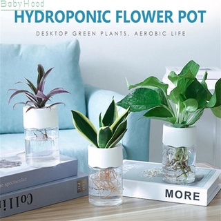 【Big Discounts】Hydroponic Plant Pots Water Planting Vase Plastic Transparent Stylish Container#BBHOOD