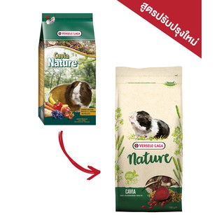 Nature Cavia (2.3kg) อาหารแกสบี้ ธัญพืชรวมเพิ่มผักอบ และวิตามินซี