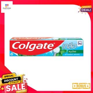 คอลเกตยาสีฟันเฮอร์เบิ้ลซอลท์ 150ก.COLGATE HERBAL SALT TOOTHPASTE 150 G