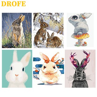 Drofe ( 40x50 ซม . ) ภาพวาดสีน้ํามันรูปกระต่ายสําหรับตกแต่งบ้าน