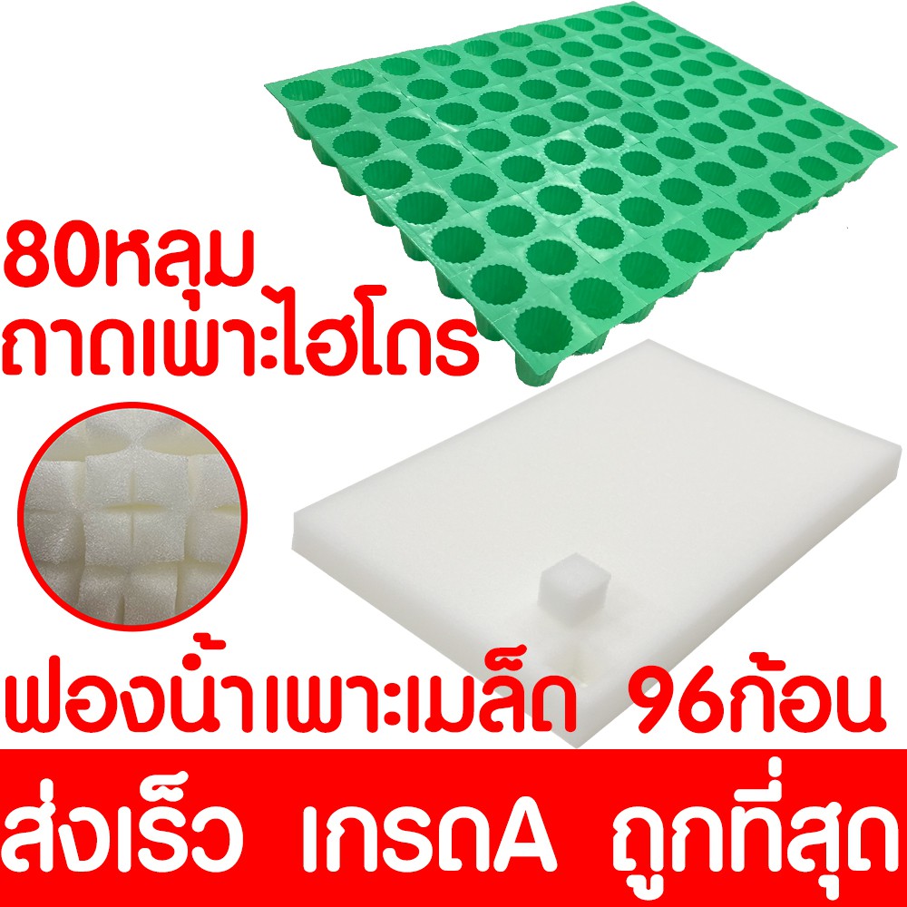 ฟองน้ำเพาะกล้า ฟองน้ำเพาะเมล็ด ถาดเพาะไฮโดร ฟองน้ำปลูกผัก ปลูกผักไฮโดรโปนิกส์ ถาดเพาะ ถ้วยปลูกผัก ไฮโดร ไฮโดรโปนิกส์