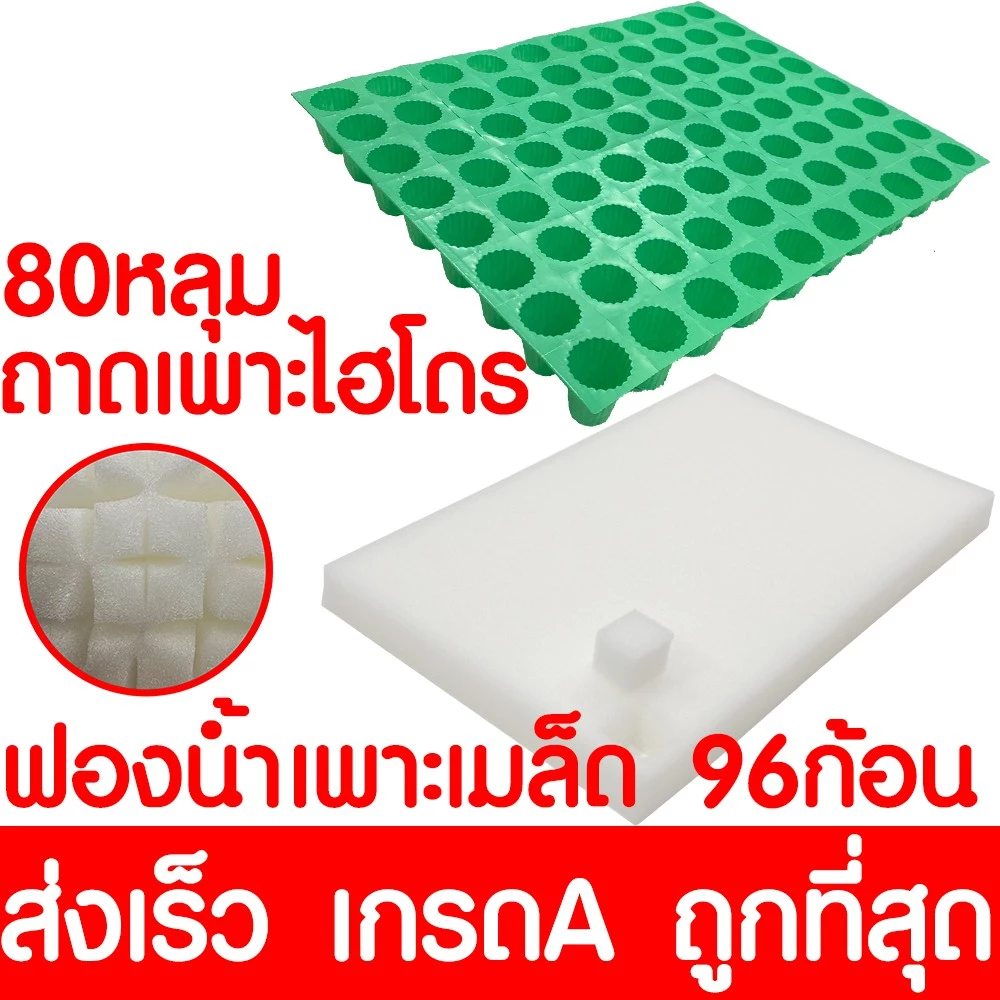 ฟองน้ำเพาะกล้า ฟองน้ำเพาะเมล็ด ถาดเพาะไฮโดร ฟองน้ำปลูกผัก ปลูกผักไฮโดรโปนิกส์ ถาดเพาะ ถ้วยปลูกผัก ไฮโดร ไฮโดรโปนิกส์