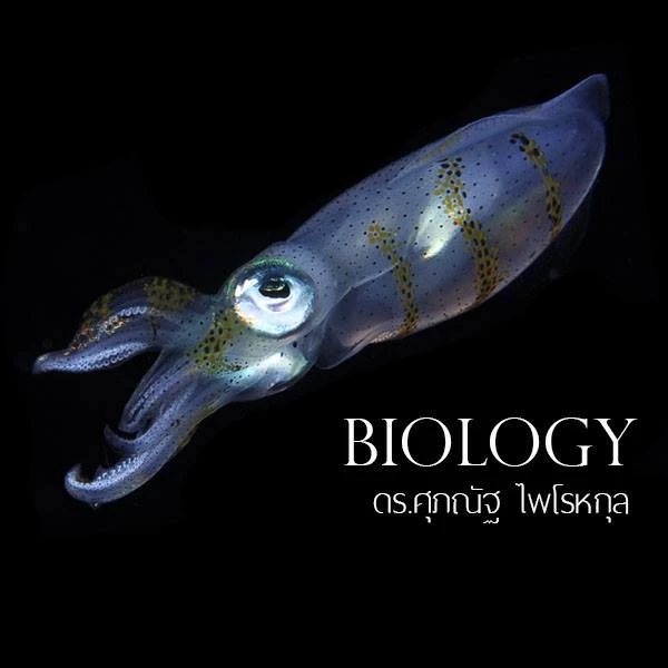 หนังสือ BIOLOGY ชีววิทยา มัธยมปลาย | ชีวะ ปลาหมึก | อ.ศุภณัฐ ไพโรหกุล thumbnail 3