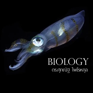 หนังสือ BIOLOGY ชีววิทยา มัธยมปลาย | ชีวะ ปลาหมึก | อ.ศุภณัฐ ไพโรหกุล