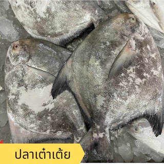 อาหารทะเล พร้อมส่ง! ปลาเต๋าเต้ยตัวใหญ่ไซส์ 8-10 ขีด / Heng Heng Seafood