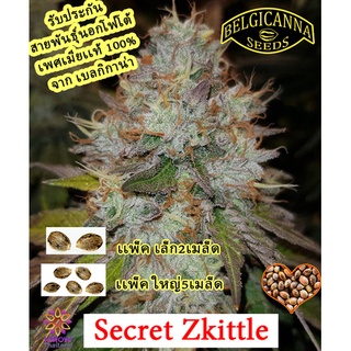 secret zkittlez ซีเคร็ทสกิตเติล โฟโต้ นอก+เมีย100 เปอร์เซ็น