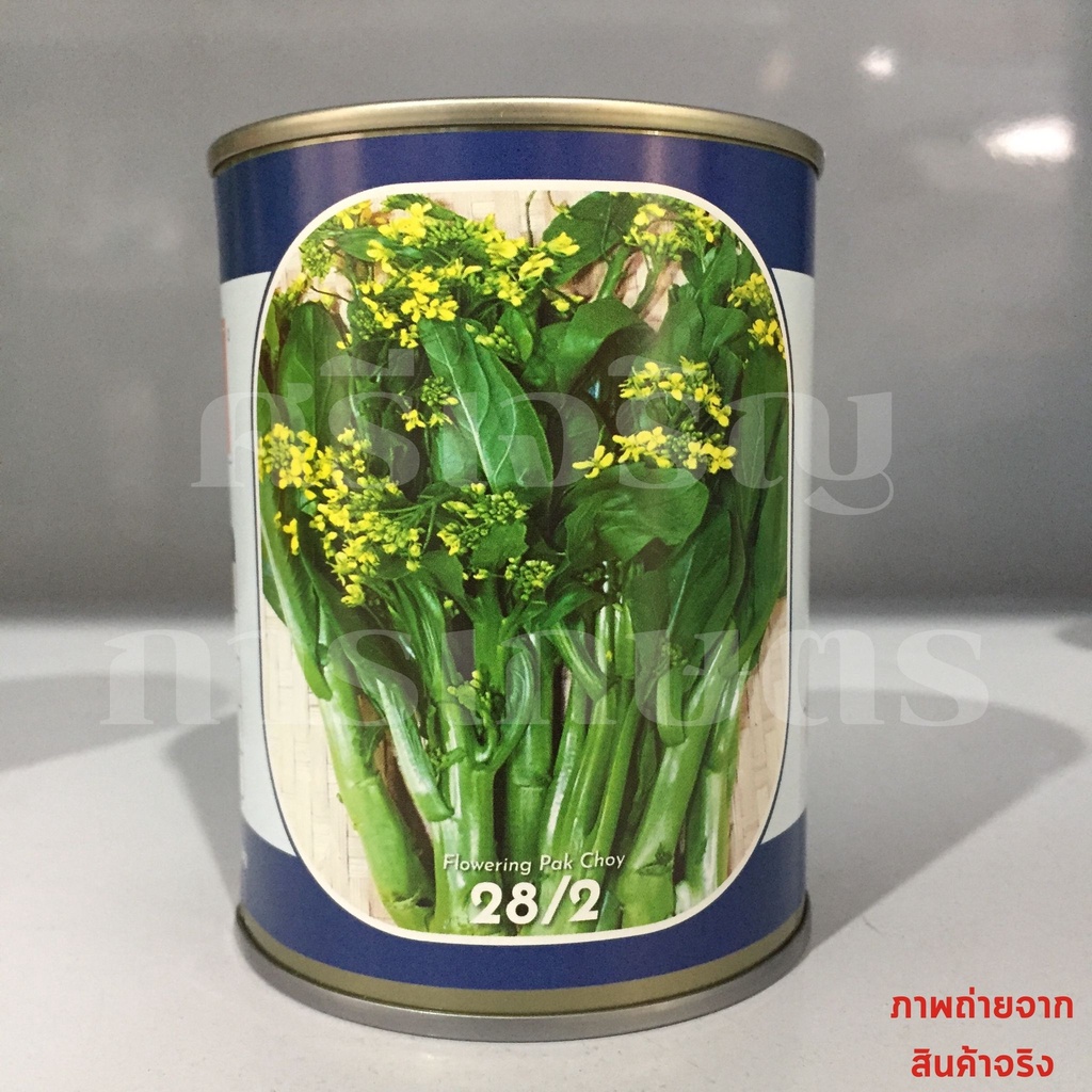 เมล็ดกกวางตุ้งดอก 28/2 80g ตราลูกโลก
