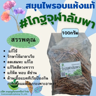 โกฐจุฬาลัมพา ขนาด 1000 กรัม คัดพิเศษ!!! สินค้าพร้อมส่ง