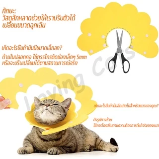 🐱 ปลอกคอกันเลีย คอลล่าแมว ปลอกคอป้องกันรอยขีดข่วนและป้องกันการเลีย ปลอกคอสัตว์เลี้ยง