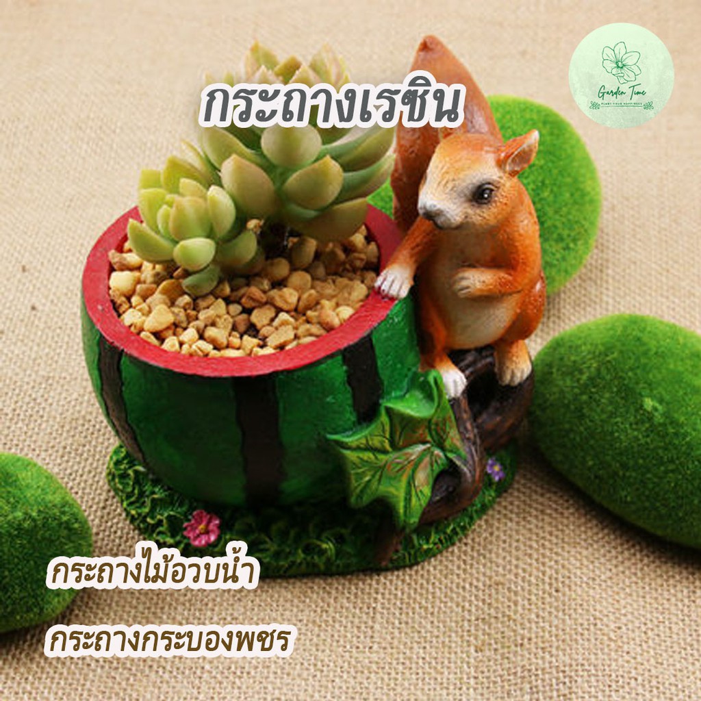 กระถางเรซินกระรอกกับแตงโม ของแต่งบ้านวินเทจ 11.5x9x11.5cm อุปกรณ์จัดสวน กระถางแคตตัส กระถางไม้มงคล กระรอก