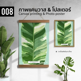 008 ภาพวาดสีน้ำ กล้วยด่างฟอริด้า ภาพพิมพ์ แคนวาส โปสเตอร์ โฟโต้ และสติ๊กเกอร์ PVC