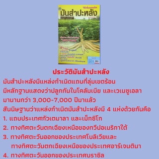 หนังสือเกษตร วิธีเพิ่มผลผลิตมันสำปะหลัง : ข้อมูลทั่วไปมันสำปะหลัง, เจาะลึก 14 สายพันธุ์มันสำปะหลังคุณภาพ