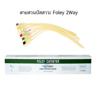 สายสวนปัสสาวะ 2ทาง ยี่ห้อ Star  (2 Way Foley Catheter ) 10เส้น/กล่อง