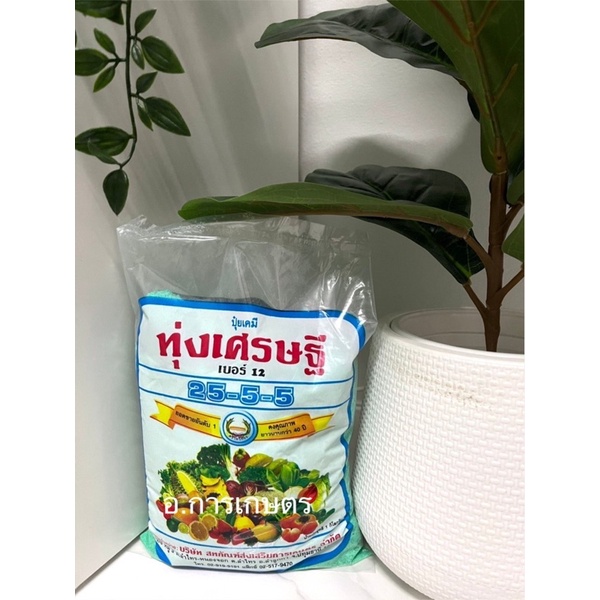 ใช้โค้ตพร้อมกันได้ ปุ๋ยเกร็ดตราหวีทอง ขนาด 1กก. ปุ๋ยเกร็ด 25-5-5 ปุ๋ยทุ่งเศรษฐี ปุ๋ยเขียว