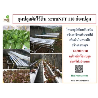 ชุดปลูกผักhydroponics  110 ช่องปลูก