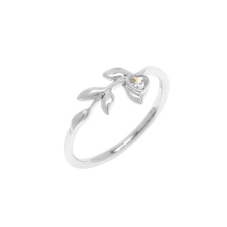 Aevari Silver Vine Ring Sterling Silver 925 Rhodium Plated แหวน แหวนเงินแท้ แหวนใบไม้ เงินแท้925