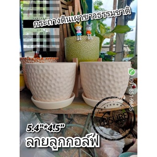 กระถางดินเผาลายลูกกอล์ฟ 5.4" ขาวธรรมชาติ เซต 6 ชุด 299.-