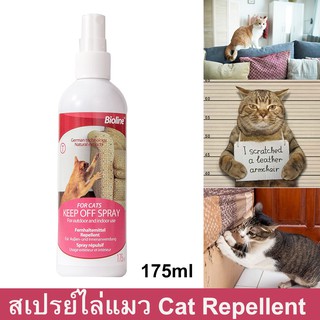 สเปรย์ไล่แมว สเปร์ยฝึกแมว 175มล. (1ขวด) Bioline Keep Off Spray for Cat 175ml (1 bottle)