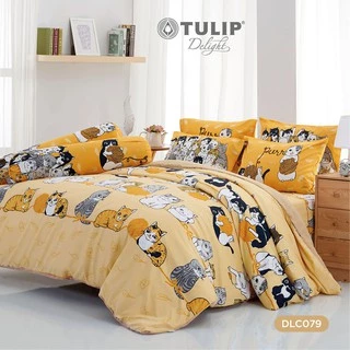 TULIP Delight ทูนหัวของบ่าว DLC079 ลิขสิทธิ์แท้ทูนหัวของบ่าว ชุดผ้าปูที่นอน ผ้าห่ม ผ้านวม ลายแมว