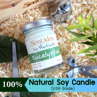 SenOdos เทียนหอมไขถั่วเหลืองแท้ เทียนหอม อโรม่า กลิ่นยูคาลิปตัส Aroma Eucalyptus45 Scented Soy Candle Aromatherapy 45g