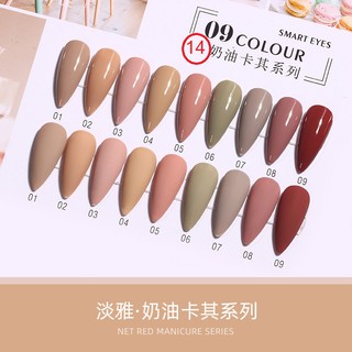 สีเจลยกเซต 9 สี AI LA NUO