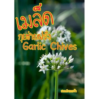 เมล็ดพันธุ์ กุยช่ายฝรั่ง 50เมล็ด Garlic Chives Seed เมล็ดพันธุ์แท้ นำเข้าจากต่างประเทศ ปลูกผัก สวนครัว ถูกดี เพาะง่าย